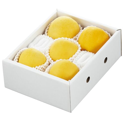 JAĂǂt[Y R`Y ͂邩 p x15x  2kg 12{`12{o ws