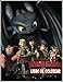 How to Train Your Dragon libro de colorear: Más de 90 ilustraciones hermosas y de alta calidad, páginas para colorear relajantes de cómo entrenar a tu ... de libros para colorear y fotos de personajes