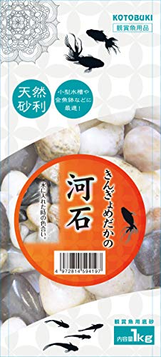 寿工芸 コトブキ きんぎょめだかの河石