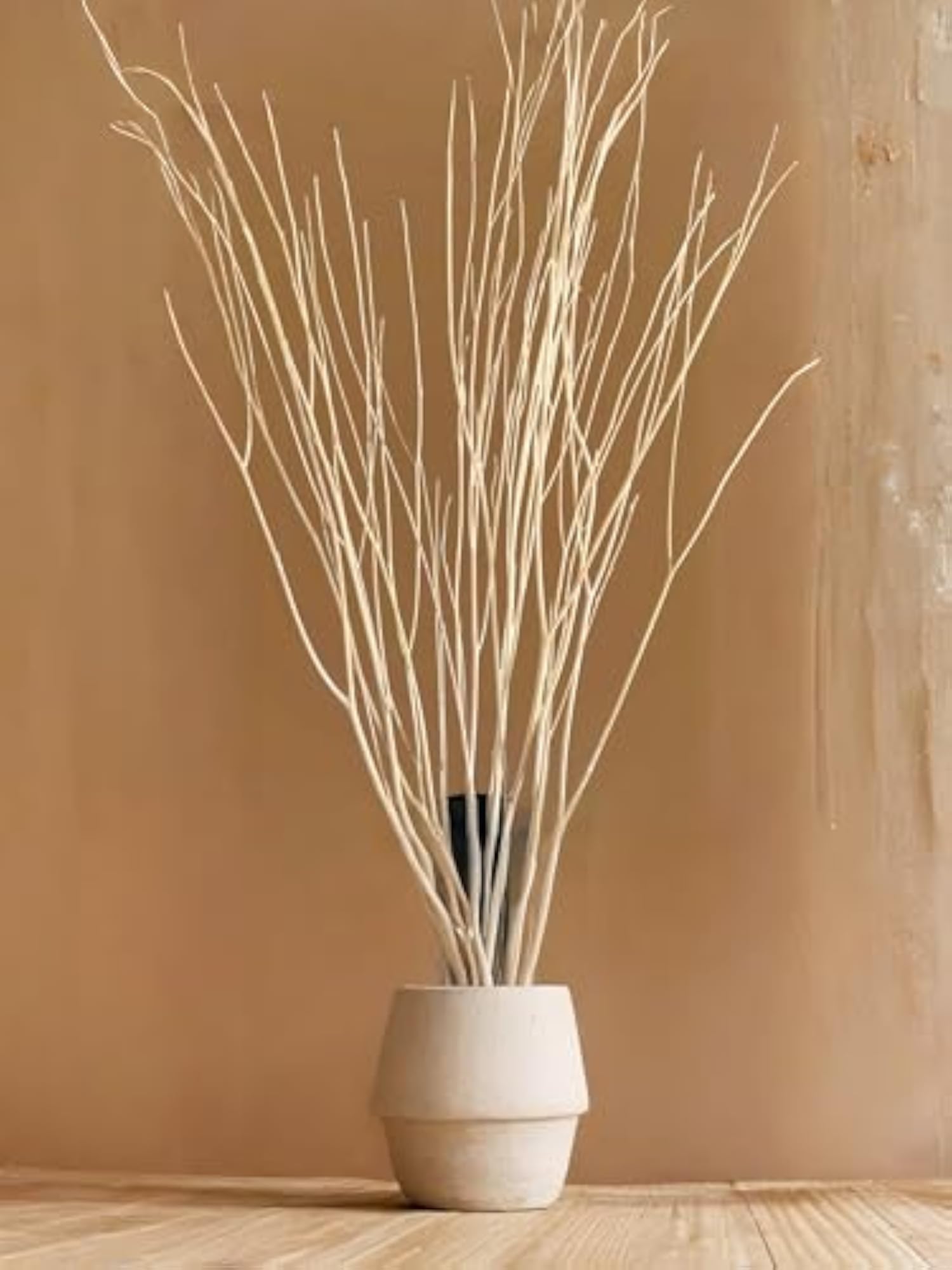 70cm Long Real Dried White Curly Willow Branches for Decor