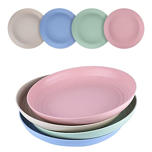 hombrima Lot de 4 assiettes plates en plastique incassable de 20 cm, pour la maison, les fêtes, les pique-niques, le bureau, poids léger Cover