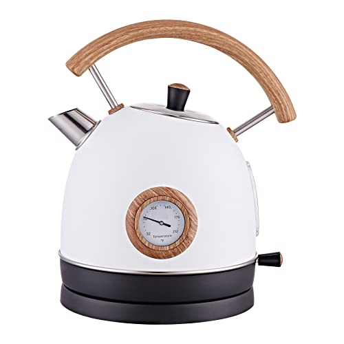 16 Best Stainless Steel Electric Kettles In 2022 [Latest Updated]