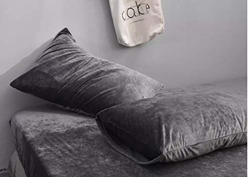 Meaning4 Fundas de Almohada de Terciopelo tamaño Queen de tamaño Queen, Suave y Acogedor, Paquete de 2 de 20 x 30 Pulgadas Cover