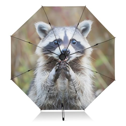 Parapluie de voyage pliable ALAZA pour la pluie et le vent