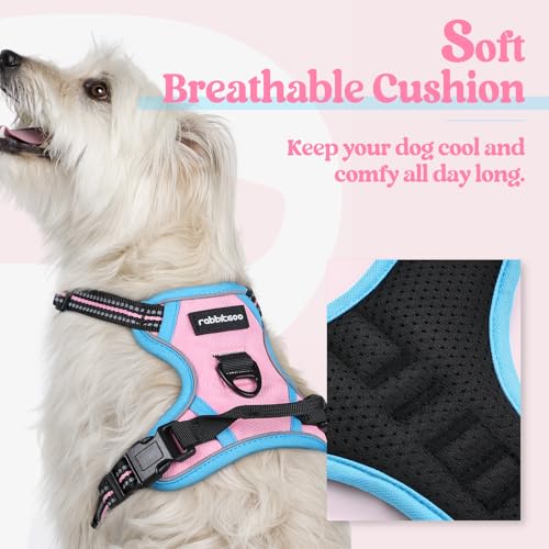 Image of rabbitgoo Dog Harness No Pull with 2 Leash Clips, Adjustable Soft Padded, Reflective Oxford No Choke Pet Vest with Easy Control Handle for Puppy, Pink & Blue, XS