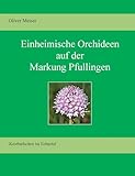 pfullingen handball  Heimische Orchideen auf der Markung Pfullingen: Kostbarkeiten im Echaztal