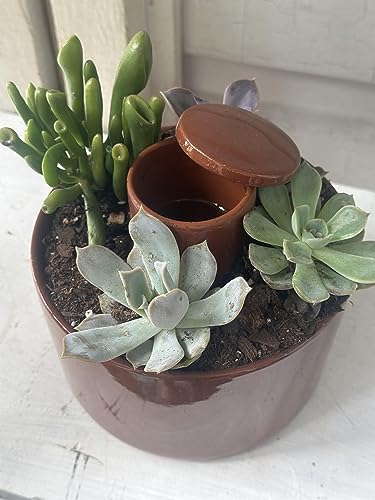Terracotta self Watering Pot
