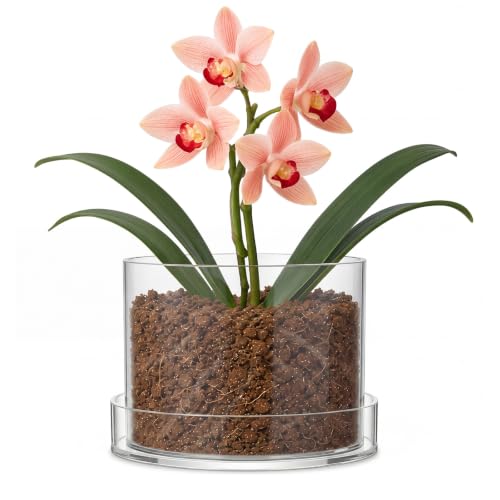 Sunnychicc 4 Inches Circle Acrylic Orchid Pot Clear Nursery Plant Pot