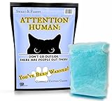 Attention People Out There Cotton Candy - Irresistible Fluffy Sweetness for All Ages - Premium Handcrafted Candy - Order Now for a Delightful Treat!
