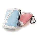  Dardera Dynasty d-Evolution Darts Case kiyama Rosa