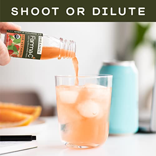 Greenhouse Juice Organic Farma-C+ Wellness Shots 12-Count 60ml Glass Bottles | Vitamin C Shot with Orange, Acerola Cherry, Sea Buckthorn Berry and Fermented Echinacea | Vegan & Gluten-Free - Image 6