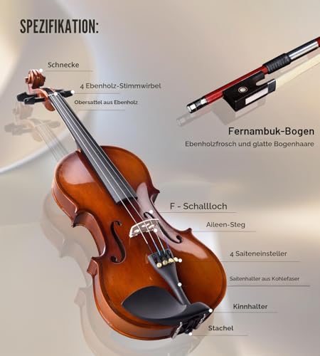 Aileen Violin 4/4 Erwachsene, Geige Anfänger Glänzendes antikes Erscheinungsbild