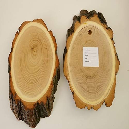 GTK - Geweihe & Trophäen KRUMHOLZ 10 carteles de madera de acacia REH para trofeos grandes de corzo, disco de árbol