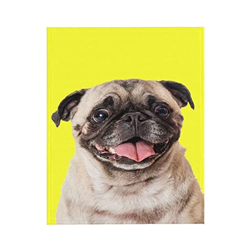 Kamoxi Pug Blankets Cute Dog French Bulldog Puppy On Yellow Throw Blankets Gift For Pug Lovers Boys Girls Soft Fluffy Flannel Bed Sofa Chair Couch Decor Fleece Blankets Fall Plush Bedding 50"X40" #TOP1