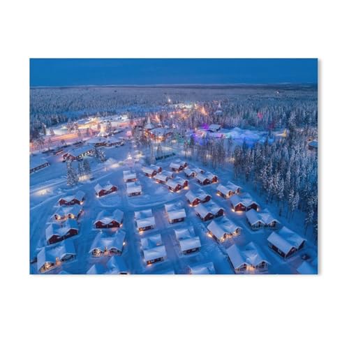 Puzzel Für Erwachsene Jigsaw Puzzle 1000，Verschneites...