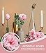 florisso Light Pink Rose Artificial Flowers - 13 Branches Faux Roses for Vase Decor, Wedding Centerpieces & Living Room Accents (Silk Artificial Roses)