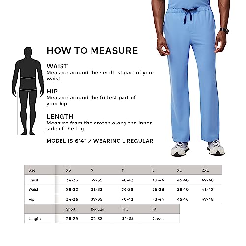 Figs Pisco Basic Scrub Pants For Men – Ceil Blue, L #TOP5