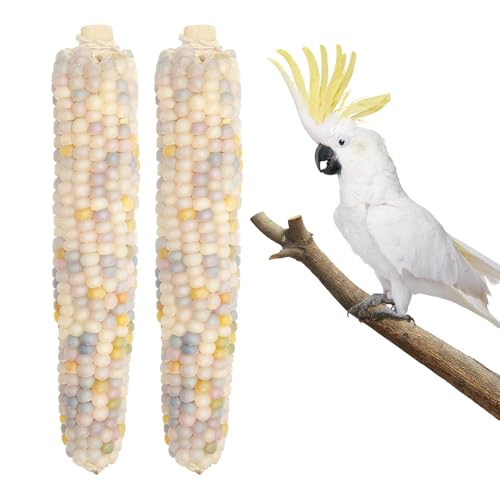 BingegePet 2-Pack Natural Mini Corn Chew Toys for Birds –