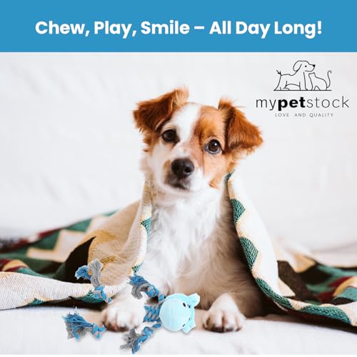 MYPETSTOCK® Plüschtier für Hunde, interaktives Spielzeug mit Seil und Squeak