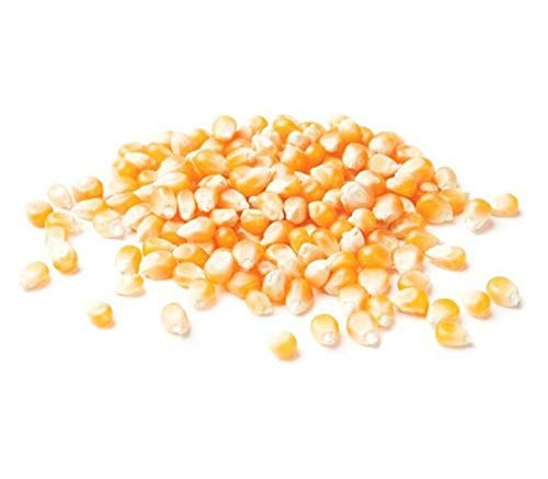 Maíz para palomitas de maíz, 25 kg, orgáni