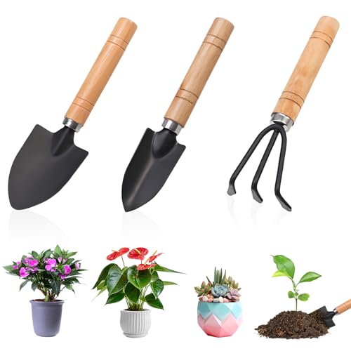 3 PCS Mini Attrezzi Giardinaggio, Set di Attrezzi da Giardinaggio, Attrezzis Giardinaggios Piccoli, Kit Attrezzis Giardinaggios Manico in Legno, Pala, Vanga, Rastrello per Piante Grasse Piante in Vaso