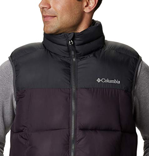 Image of Columbia Mens Pike Lake Vest