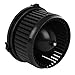 CCIYU Fit for 2018-2022 Honda Accord,2016-2021 Honda Civic AC Heater Blower Motor 700325 HVAC Compatible with Honda 2016 2017 2018 2019 2020 2021 2022 Automotive Replacement Blower Motor 79310TBAA11
