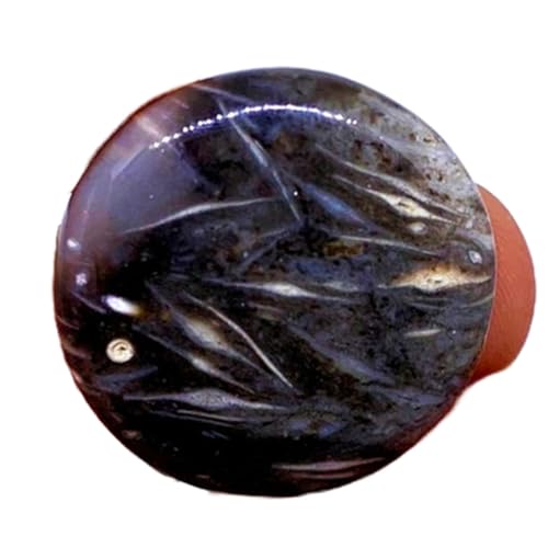 Cabochon rond fossile naturel 25mm pour création de bijoux DIY GH_NAT_04823