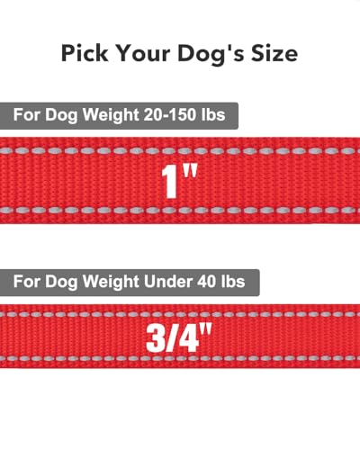Taglory Hundeleine Kleine Hunde Leicht | Doppelseitig Reflektierend | Gepolsterter Griff | Bis zu 10 kg | 1.8m x 2cm | Rot