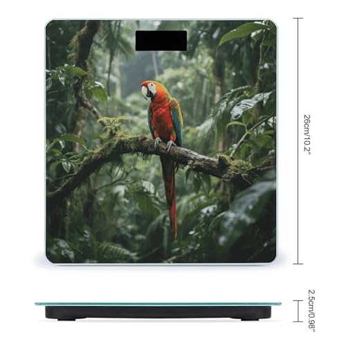 Báscula digital Parrot_rainforest de vidrio templado 400 lb miniatura 2