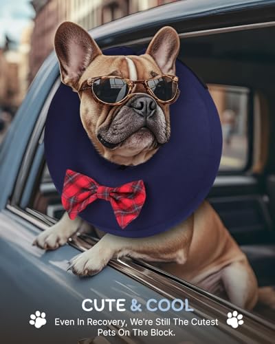 Image of MIDOG Inflatable Dog Cone, Soft Donut Recovery Collar, Bow Tie, X-Small