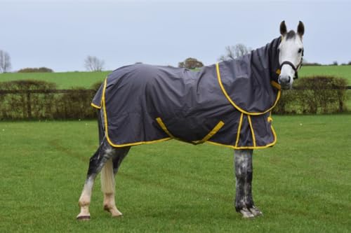 Turnout Rug Detachable Neck 100g Combo Horse Turnout Rug With Detachable Neck Cover 600D Waterproof Horse Rug (6'0'')