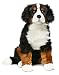 Produktbild Uni-Toys - Berner Sennenhund Ben, sitzend - 57 cm (Höhe) - Plüsch-Hund - Plüschtier, Kuscheltier