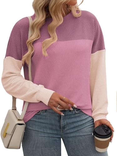 Image of DOLNINE Plus Size Tops for Women Long Sleeve Color Block Ribbed Knit Tunic