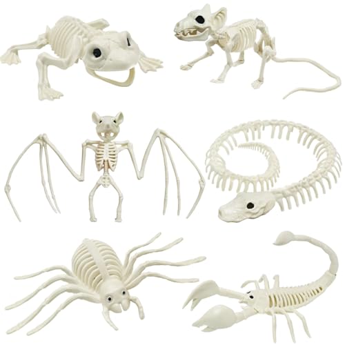 CAMIRUS 6Pack Animal Halloween Skeletons Plastic Animal Skeleton with Bendable Tails and Movable Jaws for Halloween Party Haunted House Indoor Outdoor Decorations