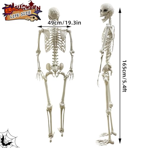 Calavera, Toy Imagen adicional