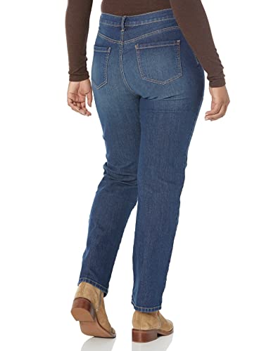 Image of Gloria Vanderbilt Womens Amanda Classic High Rise Tapered Jean Petite