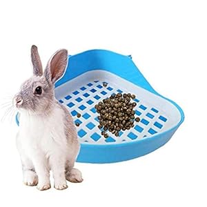 Kleine dieren-driehoekige toiletpotjes-trainer-toiletten — worp-tray-training voor kleine hamsters (willekeurige kleur)