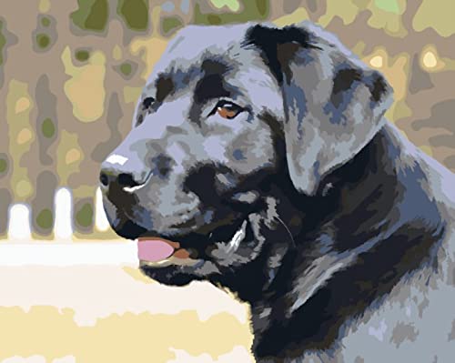 Peinture au Diamant 5D Chien Noir 30x40cm | Kit d'Art Créatif Complet