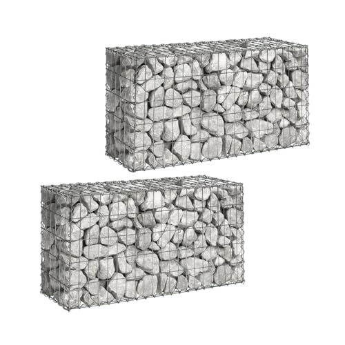 IDMarket - Lot de 2 gabions pour Pierre 100 x 30 x 50 cm