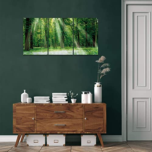 森 アートパネル 山の絵 木 3枚 風景画 日光 森林 自然風景 太陽 絵画 風水 開運 玄関 壁掛け 木枠付きの完成品 (30x40cm x3)