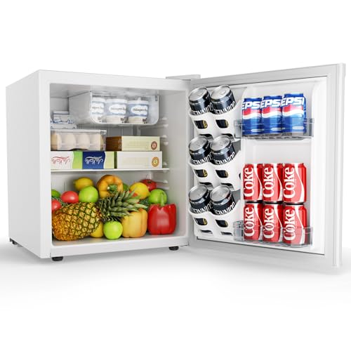 EUHOMY 45L Mini Fridge(White)