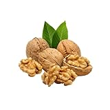 Nueces con Cáscara 500 g – Naturales, Crujientes y Aromáticas