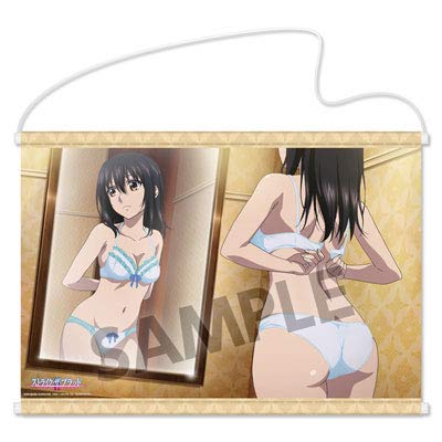 Amazon.co.jp: ストライク・ザ・ブラッド II OVA B2タペストリー 姫柊 