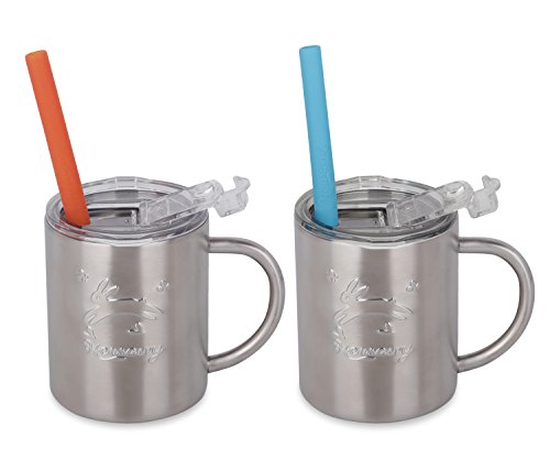 Housavvy Rabbit Stainless Steel Kids Cups with Lids and Straws,2 Pack of 10 Oz