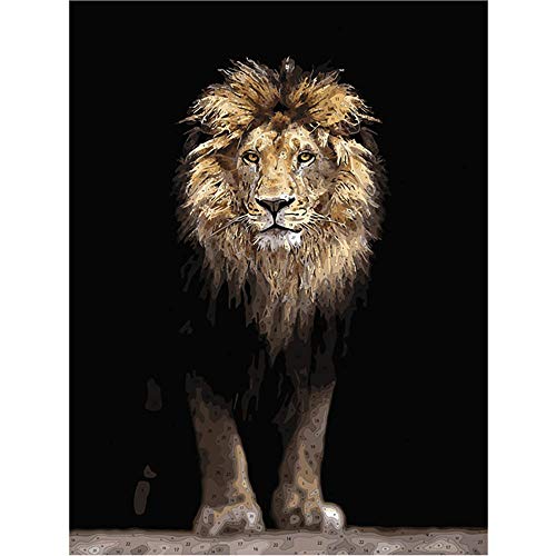 RACACHU DIY Paint by Numbers On Canvas,Oil Paint by Number Kits for Adults Beginners and Kids for Home Wall Decoration,Gift Package 16x20 inch with Frame -Animal Lion