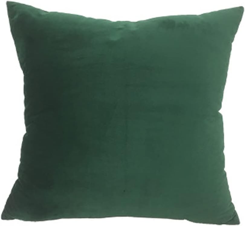 HBJWOV Cushion Cover Super Soft Throw Pillow Sofa Decorative 45 * 45cmLiving Room Home Decor