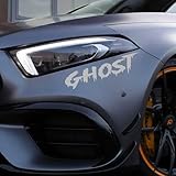 4PCS Ghost Cool Gothic Style Sticker Personality Car Window Bumper Windshield Motorcycle Body Helmet Decorative Decal Laptop Door Waterproof Stickers (Grey)