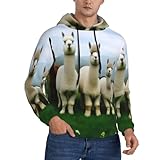 Convient pour de nombreuses occasions : idéal pour un usage quotidien, ce sweat à capuche pour homme est parfait pour les courses, les voyages, l'entraînement à la salle de sport ou pour se détendre à la maison. Convient pour le printemps, l'automne et l'hiver, ce qui en fait un ajout polyvalent à votre placard