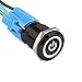 Etopars™ Black Case 19mm 12V 5A Power Symbol Angel Eye Halo Car White LED Light Metal Push Button Toggle Switch Socket